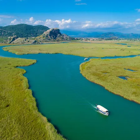 Delfin Ortaca (Mugla)
