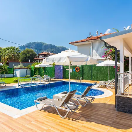Villa Delfin
