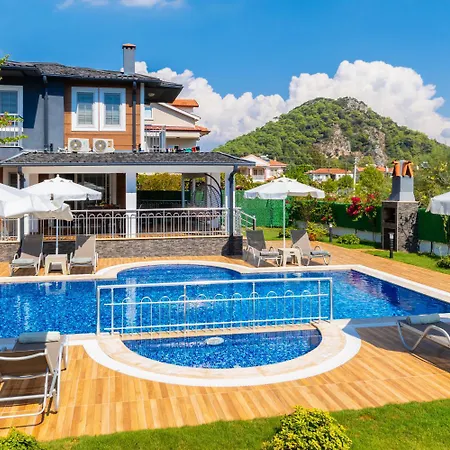 Delfin Ortaca (Mugla)