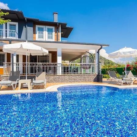 Villa Delfin