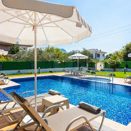 Delfin Ortaca (Mugla)