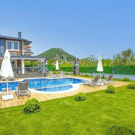 Delfin Ortaca (Mugla)